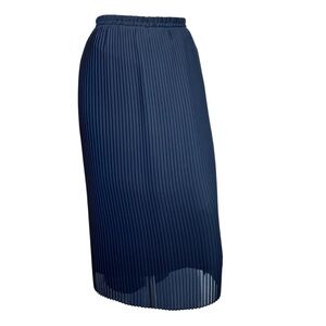 VINTAGE EN-CHANTE Black Sheer Pleated Accordion Overlay Lined Midi Skirt Size 16